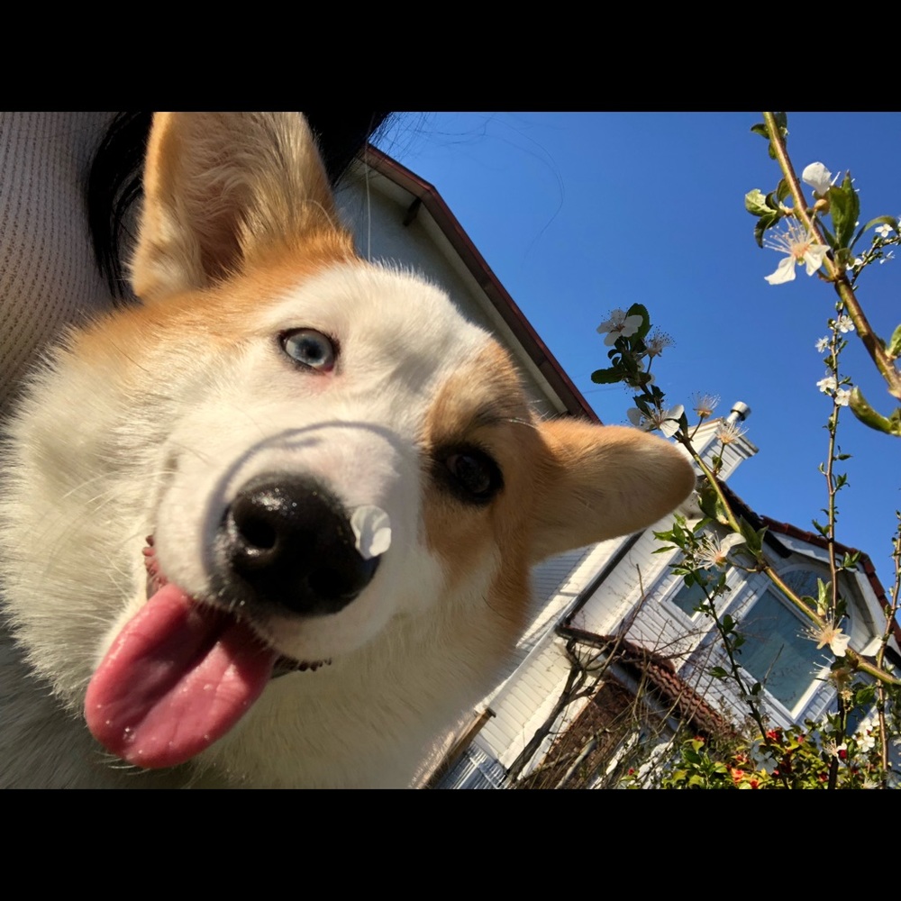 Meet your Posher, Emily